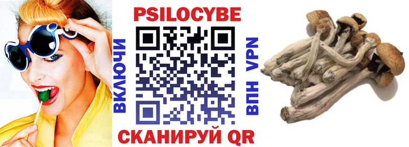 Галлюциногенные грибы Psilocybe  Великие Луки 