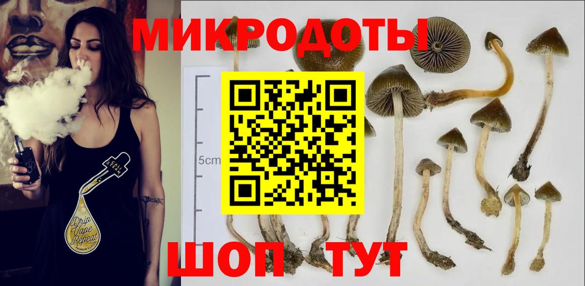 Псилоцибиновые грибы мицелий Великие Луки